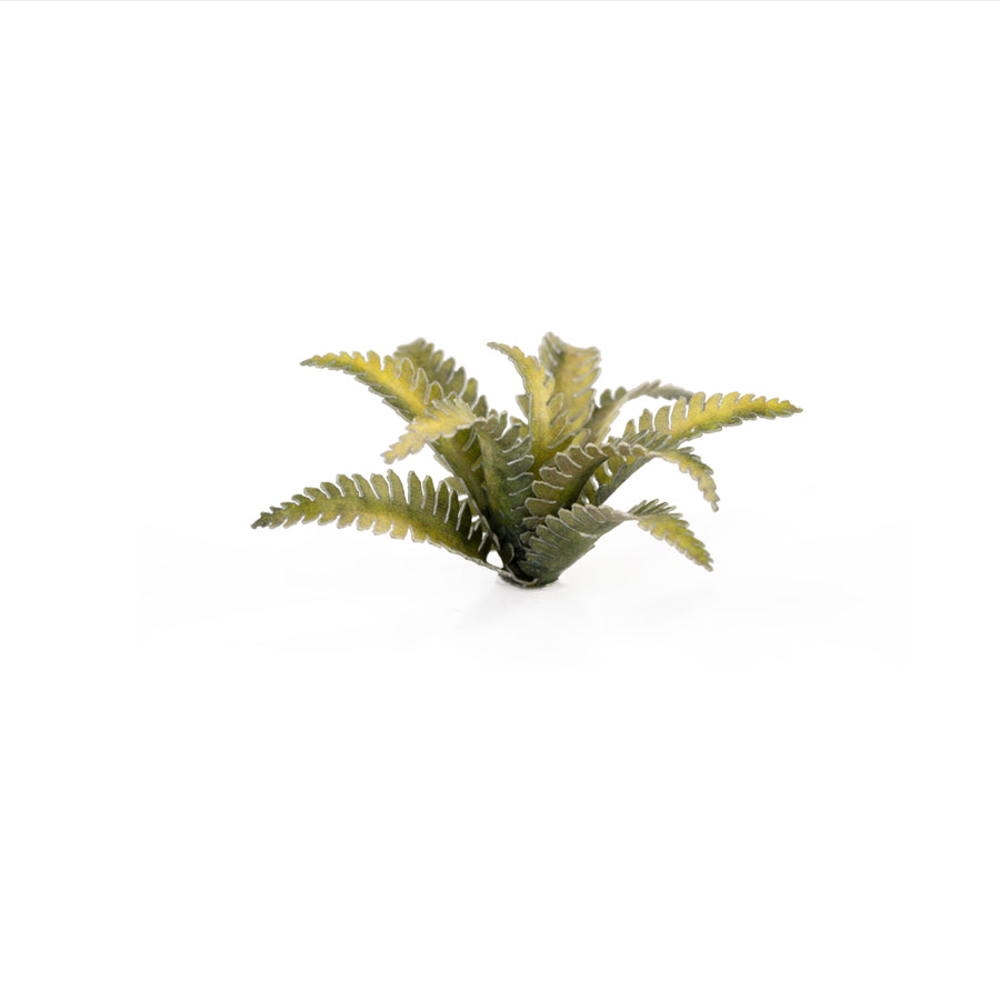 GamersGrass: Laser Plants - Deer Fern