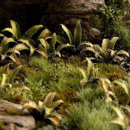 GamersGrass: Laser Plants - Deer Fern