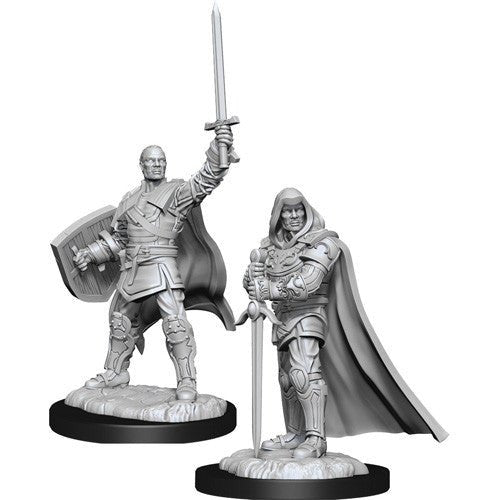 Dungeons & Dragons Nolzur's Marvelous Miniatures: Human Paladin Male (Wave 13) - Gamescape