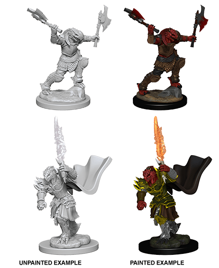 Nolzur's Marvelous Miniatures: Dragonborn Female Fighter (Wave 4) - Gamescape